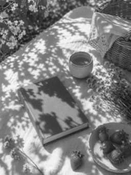 Grayscale Kindle preview of Spring picnic books